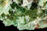 Green Fluorite Crystal Cluster - South Africa #111578-1